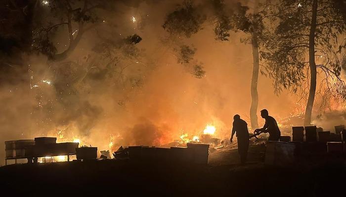 Antalya'da Otluk Alanda Çıkan Yangında Arı Kovanları Zarar Gördü