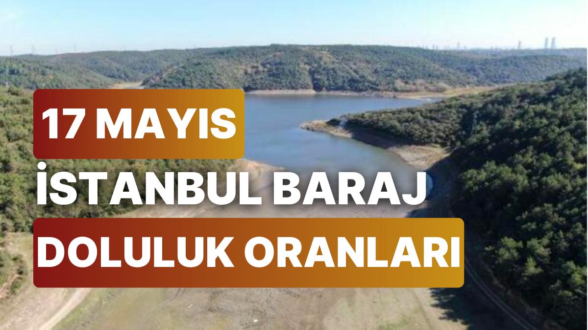 Istanbul Baraj Doluluk Oranları - Son Durum: Hangi Barajlar Kaç Yüzde Dolu?