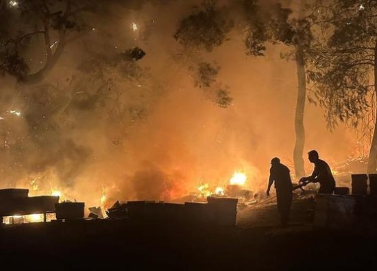 Antalya'da Otluk Alanda Çıkan Yangında Arı Kovanları Zarar Gördü