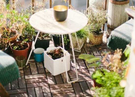 Balkon Bahçeciliği: Evde Sebze Yetiştirmek İçin 10 Neden - İpuçları ve Fikirler