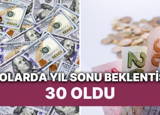 Dolarda 30 Lira Ufukta Göründü: BofA TL'de Değer Kaybının Hızlanacağını Öngörüyor
