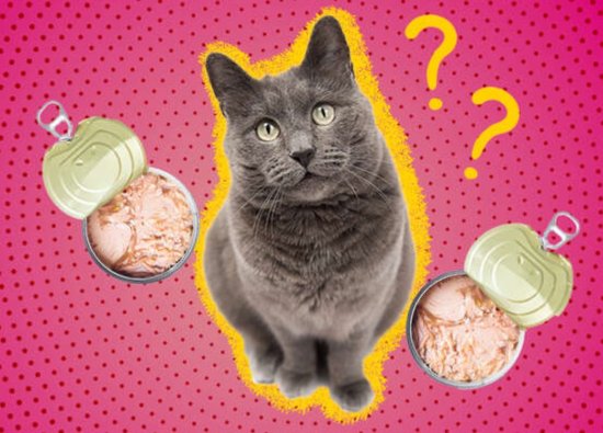 Kediler İçin En İyi 8 Ton Balıklı Yaş Mama - Hangisini Seçmeli?