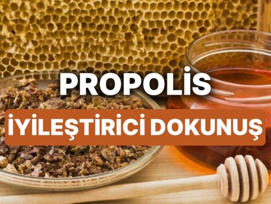Propolisin Faydaları Nelerdir? Arılar Tarafından Üretilen Şifalı Madde Propolis Nedir, Nasıl Kullanılır? - Sağlık ve Doğal Yaşam İpuçları
