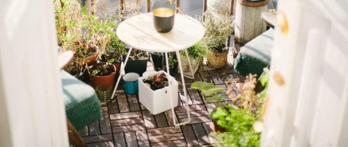 Balkon Bahçeciliği: Evde Sebze Yetiştirmek İçin 10 Neden - İpuçları ve Fikirler